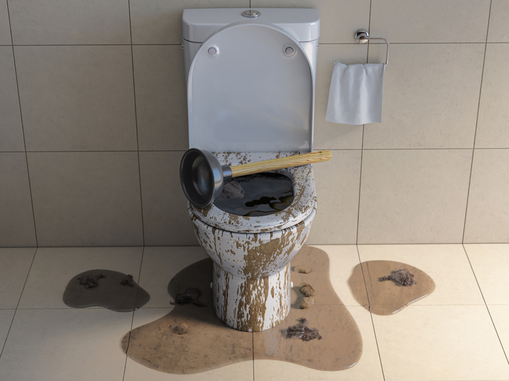 Clogged overflowing toilet bowl